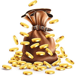 Money bag